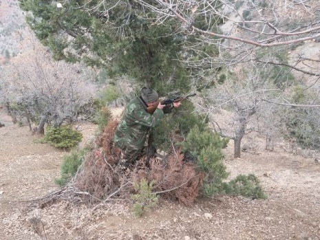 Mücadele Amaçlı Yaban Domuzu Sürek Avı Düzenlendi