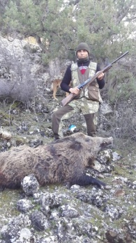 Mücadele Amaçlı Yaban Domuzu Sürek Avı Düzenlendi