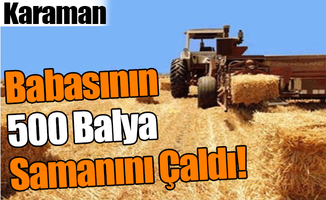 Babasının 500 Balya Samanını Çaldı!