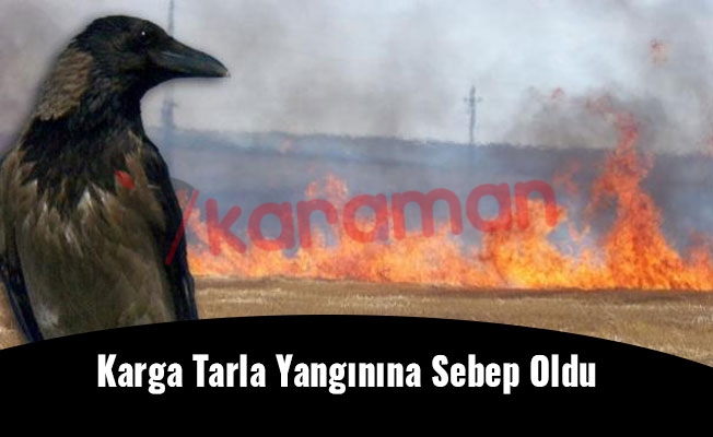 Karga Tarla Yangınına Sebep Oldu