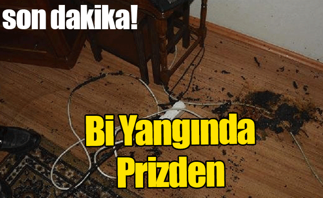 Bir Yangında Prizden