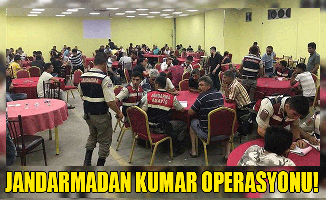 Jandarmadan Kumar Operasyonu!