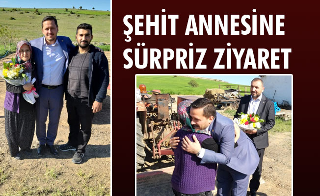 ŞEHİT ANNESİNE SÜRPRİZ ZİYARET