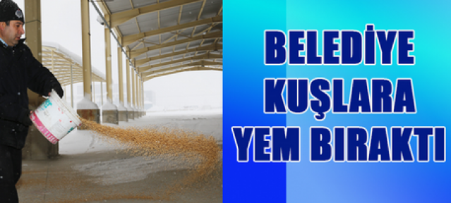 Karaman Belediyesi ekipleri kuşlar için yem bıraktı