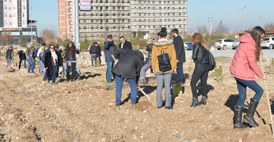 Karaman'da Kmü öğrencileri fidan dikti