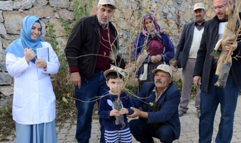 Konya Büyükşehir, İpekböcekçiliğini dut fidanı ile destekliyor