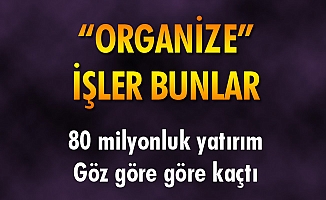 "ORGANİZE" İŞLER BUNLAR