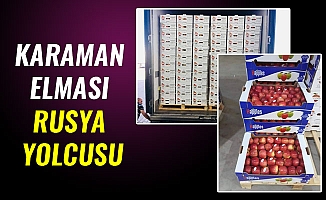 KARAMAN ELMASI RUSYA YOLCUSU