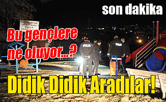 Didik Didik Aradılar!