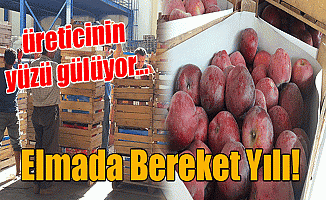 Elma'da Bereket Yılı!