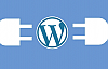 Wordpress Nasıl Kurulur?